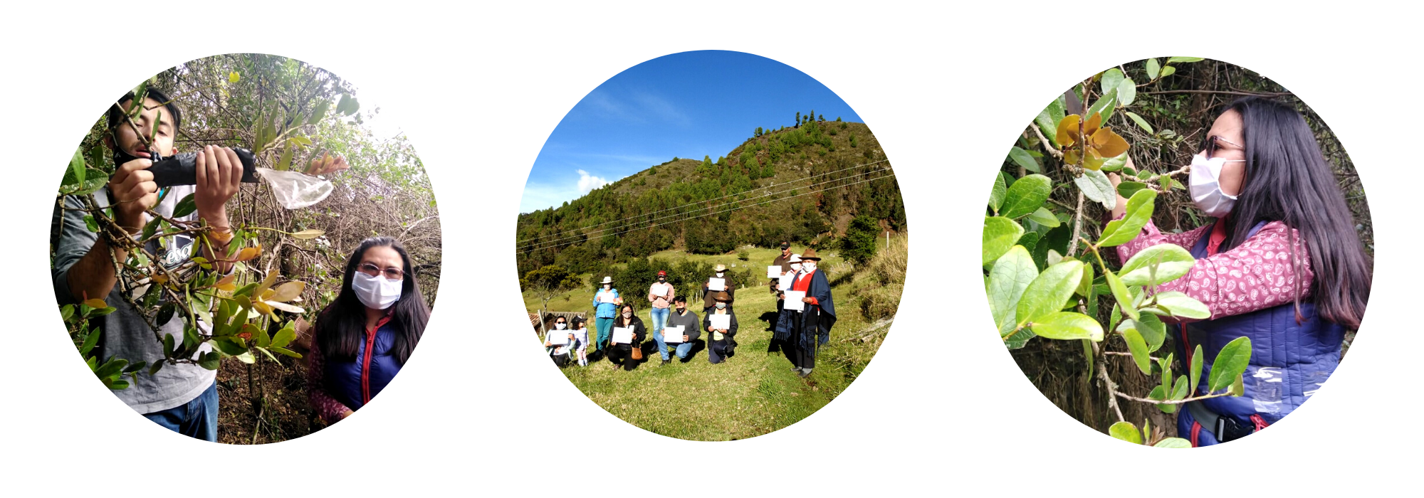 Grupo comunitario Asociación Ecológica de Producción de Frutos Andinos