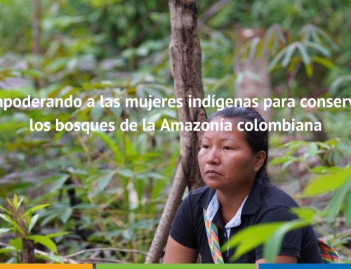 Empoderando a las mujeres indígenas para conservar los bosques de la Amazonía colombiana