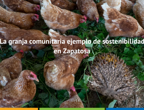 La granja comunitaria ejemplo de sostenibilidad en Zapatosa