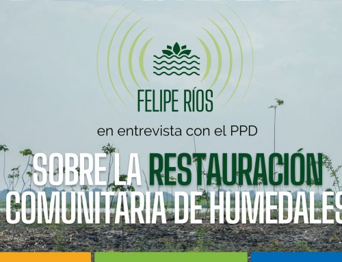 Entrevista a Felipe Ríos sobre la restauración comunitaria de humedales