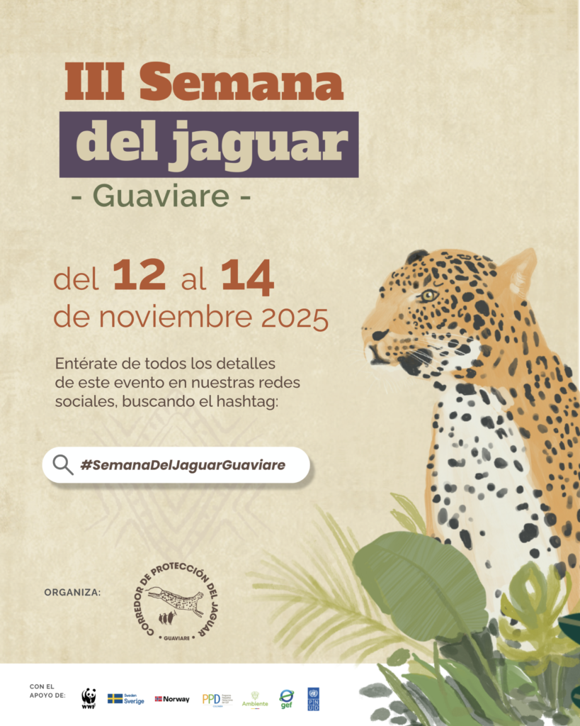 Afiche informativo de la “III Semana del Jaguar - Guaviare”. El evento se realizará del 12 al 14 de noviembre de 2025. El afiche invita a conocer todos los detalles del evento en redes sociales con el hashtag #SemanaDelJaguarGuaviare. En la parte inferior aparece el logo del Corredor de Protección del Jaguar Guaviare, acompañado de ilustraciones de hojas y un jaguar mirando hacia la derecha. En la parte inferior también se muestran los logos de las organizaciones que apoyan el evento: WWF, Suecia, Noruega, PPD, Ministerio de Ambiente, GEF y PNUD.