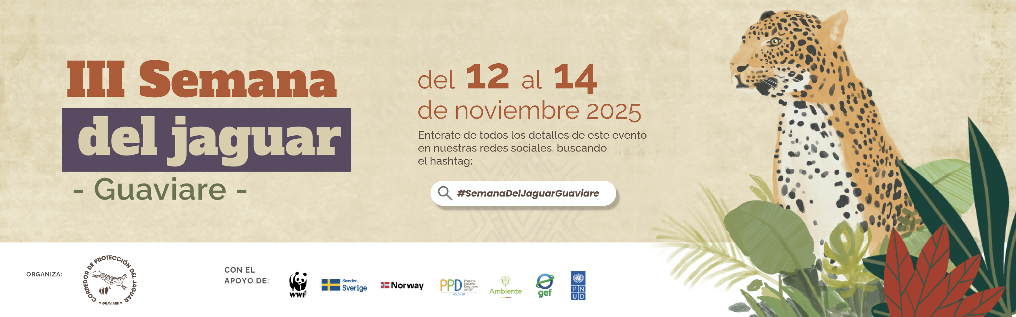 Afiche informativo de la “III Semana del Jaguar - Guaviare”. El evento se realizará del 12 al 14 de noviembre de 2025. El afiche invita a conocer todos los detalles del evento en redes sociales con el hashtag #SemanaDelJaguarGuaviare. En la parte inferior aparece el logo del Corredor de Protección del Jaguar Guaviare, acompañado de ilustraciones de hojas y un jaguar mirando hacia la derecha. En la parte inferior también se muestran los logos de las organizaciones que apoyan el evento: WWF, Suecia, Noruega, PPD, Ministerio de Ambiente, GEF y PNUD.